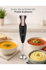 Fakir Silvino Stick Blender 900W - Siyah