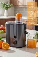 Sinbo SJ-3148 Katı Meyve Sıkacağı