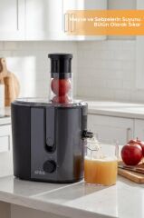 Sinbo SJ-3148 Katı Meyve Sıkacağı